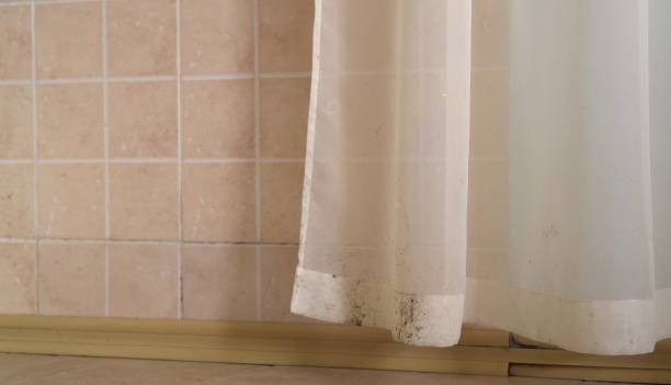  Audubon Park, NJ Mold Removal Pros