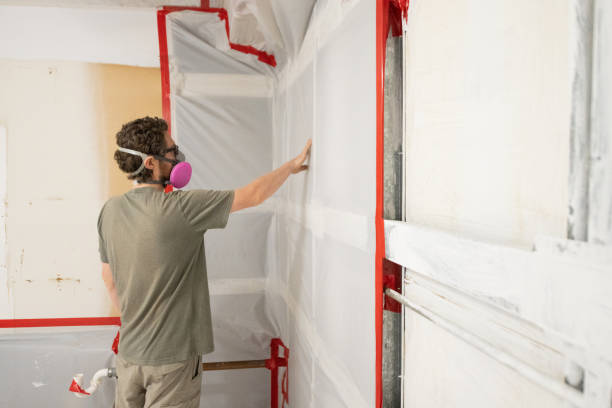 Best Black Mold Removal  in Audubon Park, NJ