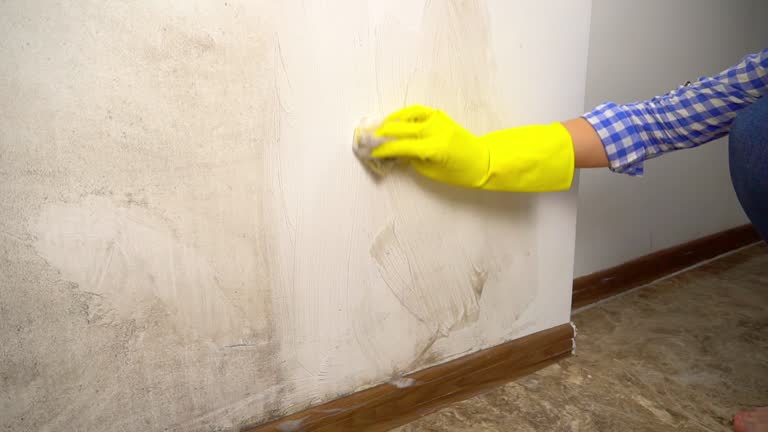 Best Mold Remediation for Healthcare Facilities  in Audubon Park, NJ
