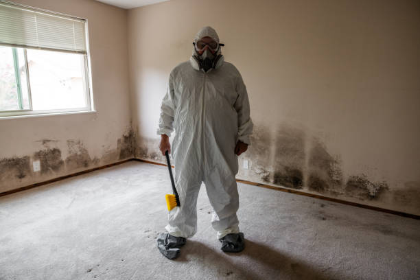 Audubon Park, NJ Mold Removal Company